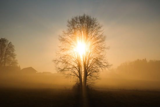 5 cautions before you trust a 'word from the Lord'