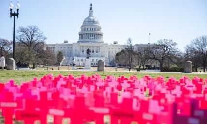 Pro-lifers visit millions of homes in battleground states ahead of midterms