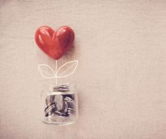 God blessed us with plenty. How do we give it away wisely?