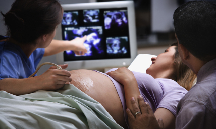 Pro-life infighting helps no preborn child