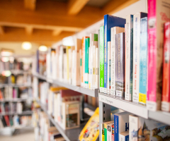 Library board overrules staff, removes sexually explicit books from teen section