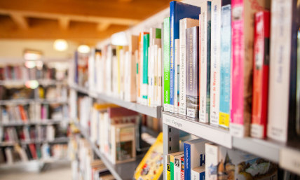 Library board overrules staff, removes sexually explicit books from teen section