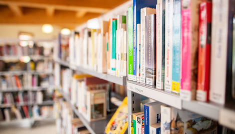 Library board overrules staff, removes sexually explicit books from teen section