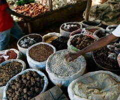 Church Bodies Seek 'Daily Bread' for Worlds Poor
