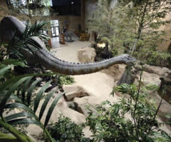Creationists to Mark 'Darwin Day' with Anti-Evolution Conference