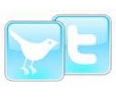 Why and How I Am Tweeting
