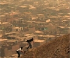Searching for Purpose: The Human Experience