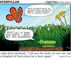 Caterpillar