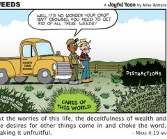 Weeds