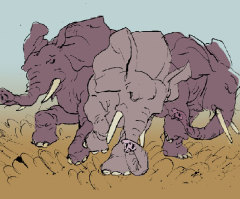 The Race Is On