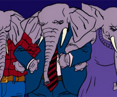 Elephants United