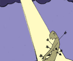The Theology of Suffering