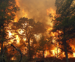 Virgin Mary Statue 'Guards' House From Texas Wildfire