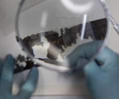 Study: Many Scientists Say Science, Religion Do Not Conflict