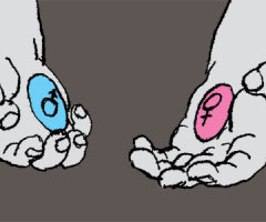 If You Take the Blue Pill . . .