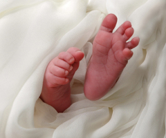 UK In-Vitro Study Supports Claims of 'Wasting' Unborn Lives?