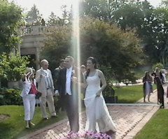 Seeing the Eternal: The Wedding Presence