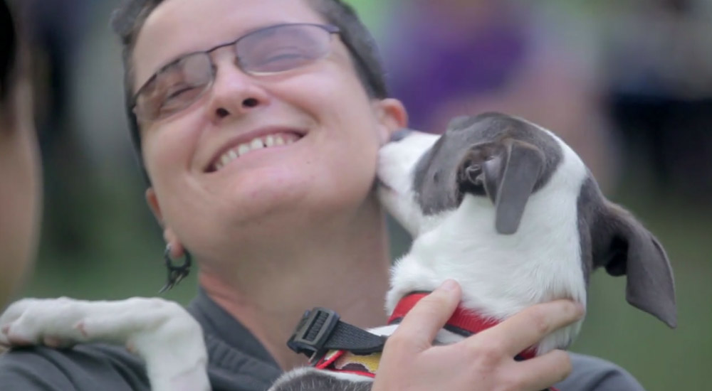 See a Heartwarming Pet Adoption Campaign Where Loving Dogs Rescue the ...