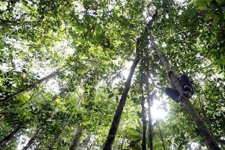 The path to ending poverty starts with the environment - Vimarsana News