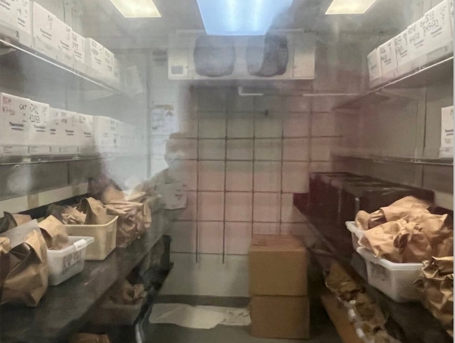 Pro-life groups seek answers to aborted babies in freezer at UW - Vimarsana News