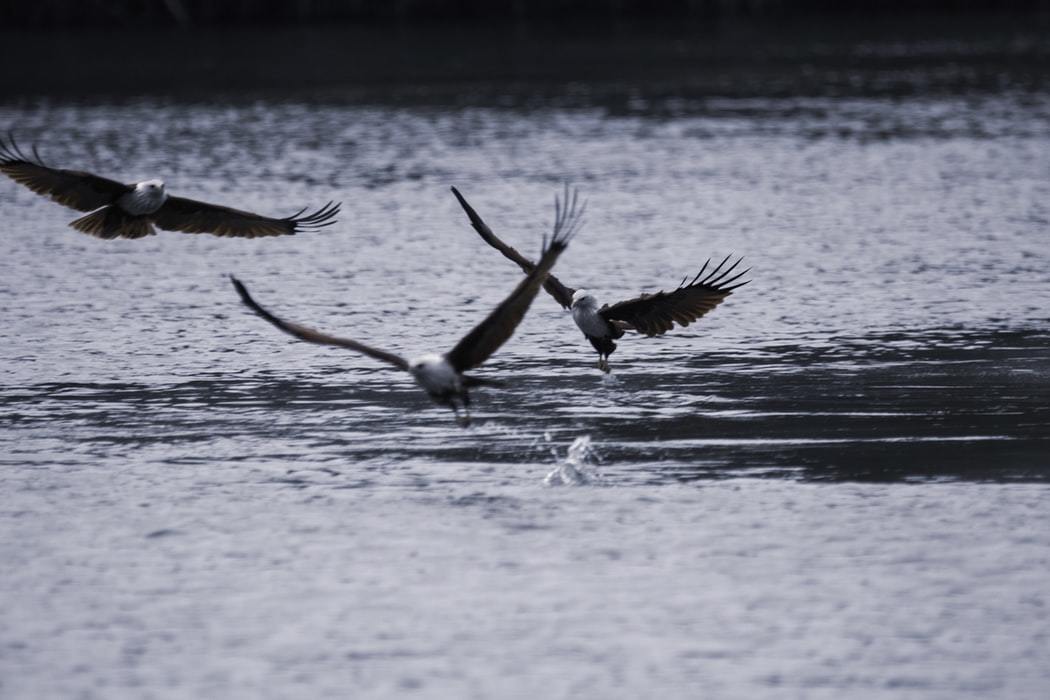 The storms that are necessary to lift us higher - Vimarsana News