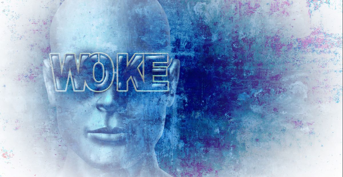 The new frontline against woke capital - Part 1 - Vimarsana News