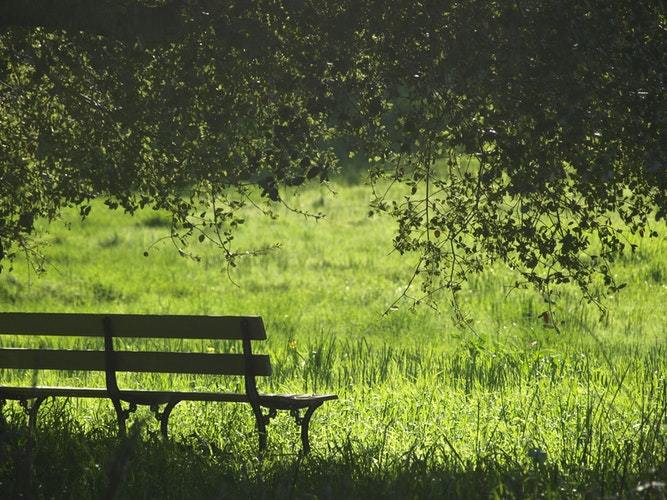 Never say these 2 words - Vimarsana News