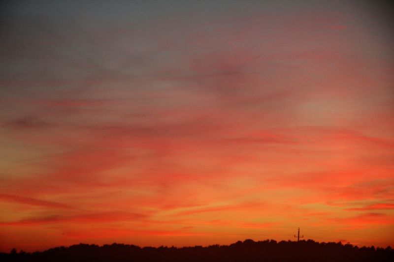 Revelation 4: The rapture question - Vimarsana News