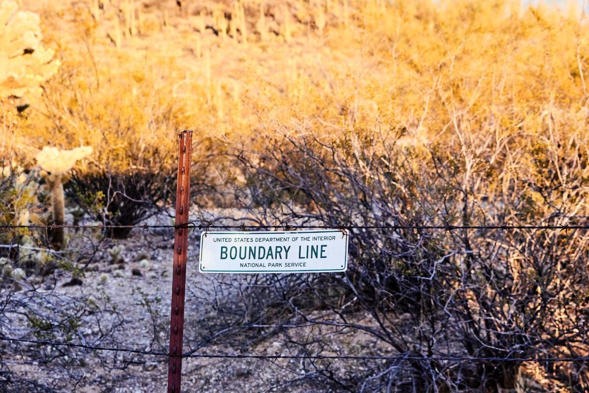 Boundaries can bring bigotry, but no boundaries mean anarchy - Vimarsana News