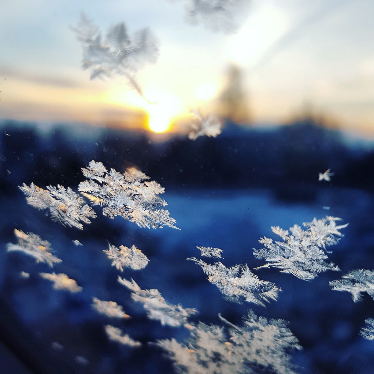 Feeling blue this Holiday Season? There's hope - Vimarsana News