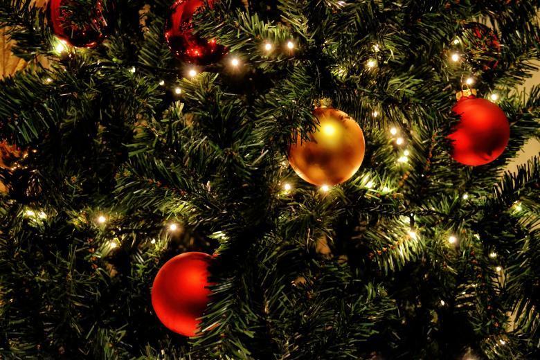 Mass. library to display Christmas trees: 'No ban on Christmas' - Vimarsana News