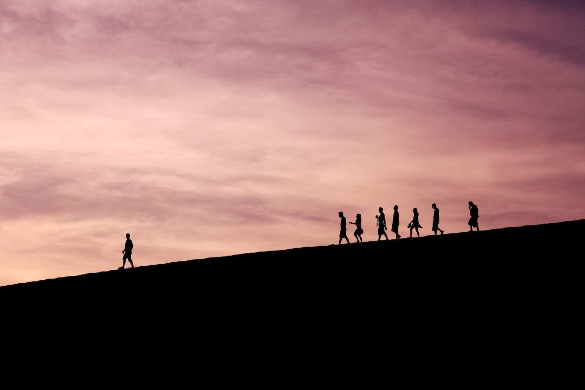 If everyone is a leader, who follows? - Vimarsana News