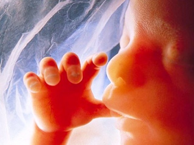 North Carolina passes 12-week abortion ban; overrides veto - Vimarsana News