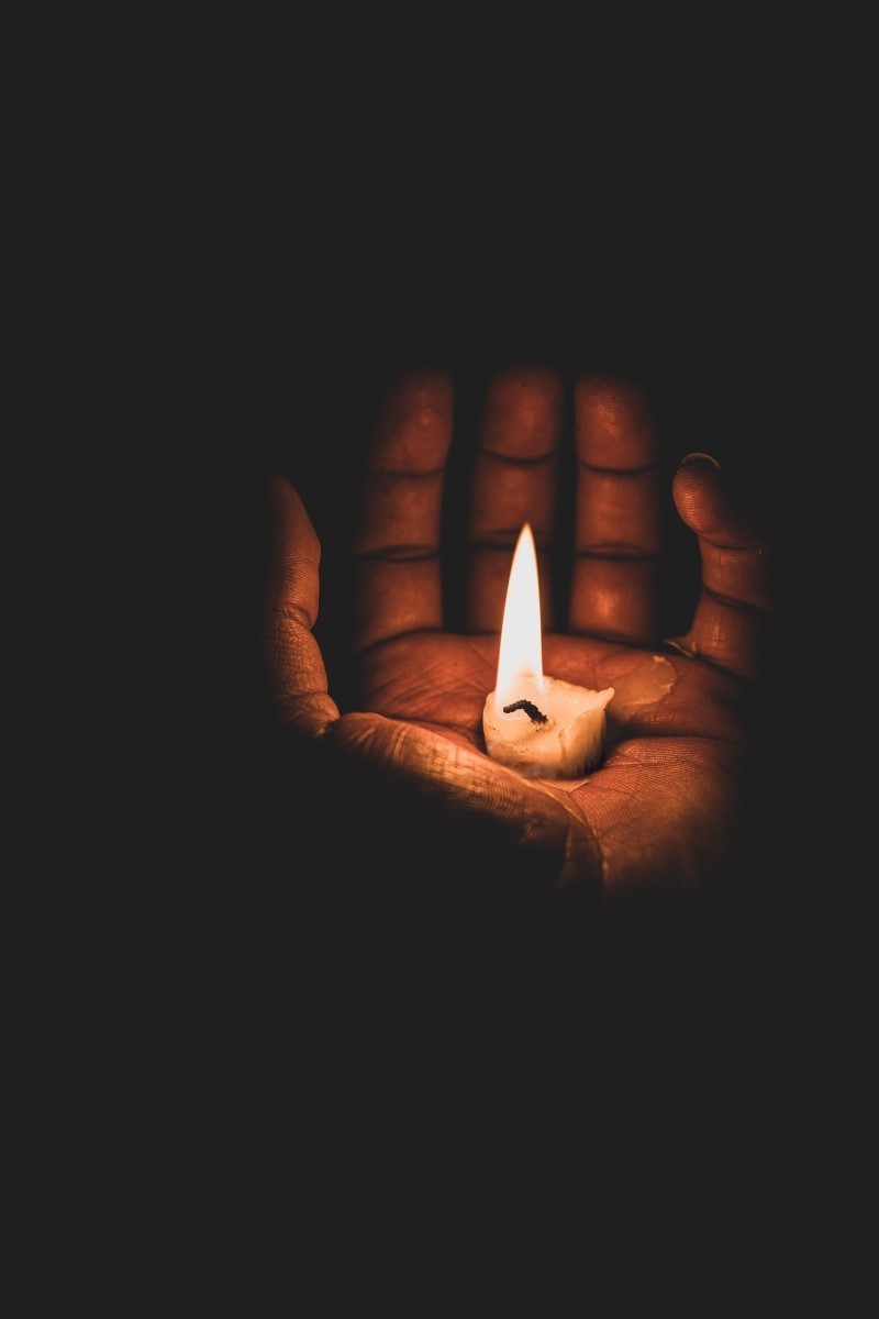 Dealing with death and disease - Vimarsana News