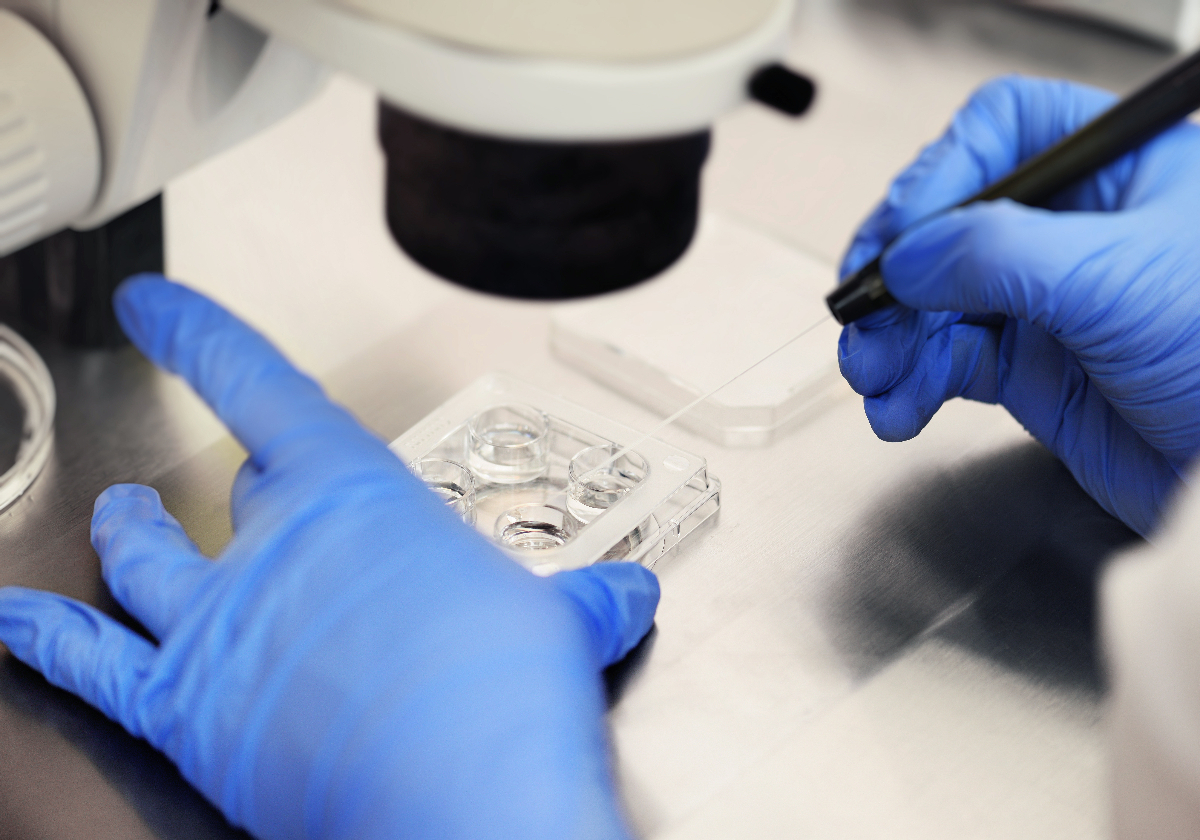 Alabama hospital to stop IVF, cites 'litigation concerns' - Vimarsana News
