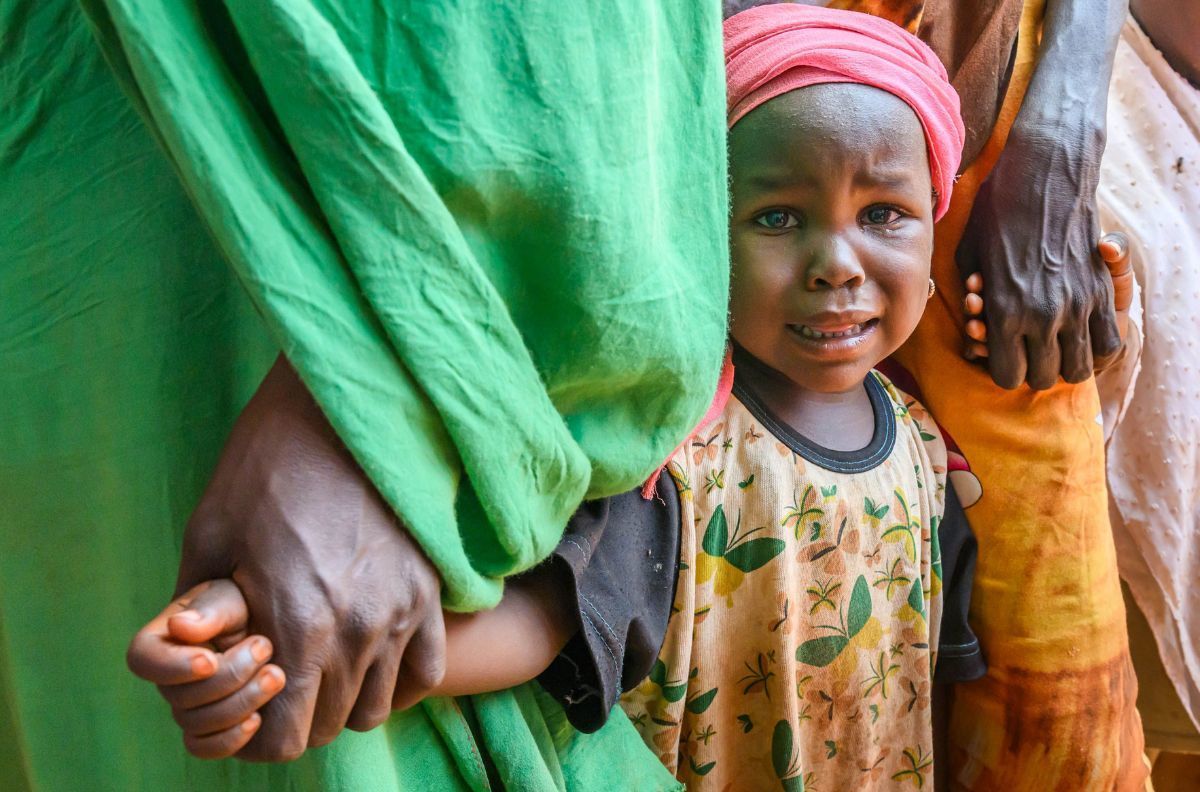 Sudan facing worst levels of acute food insecurity ever recorded | World