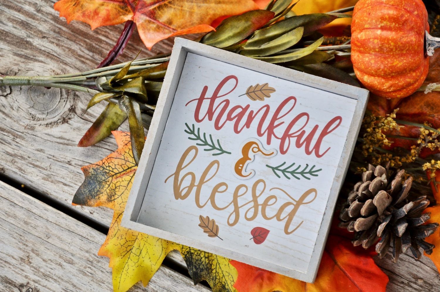 Why giving thanks changes you and your finances