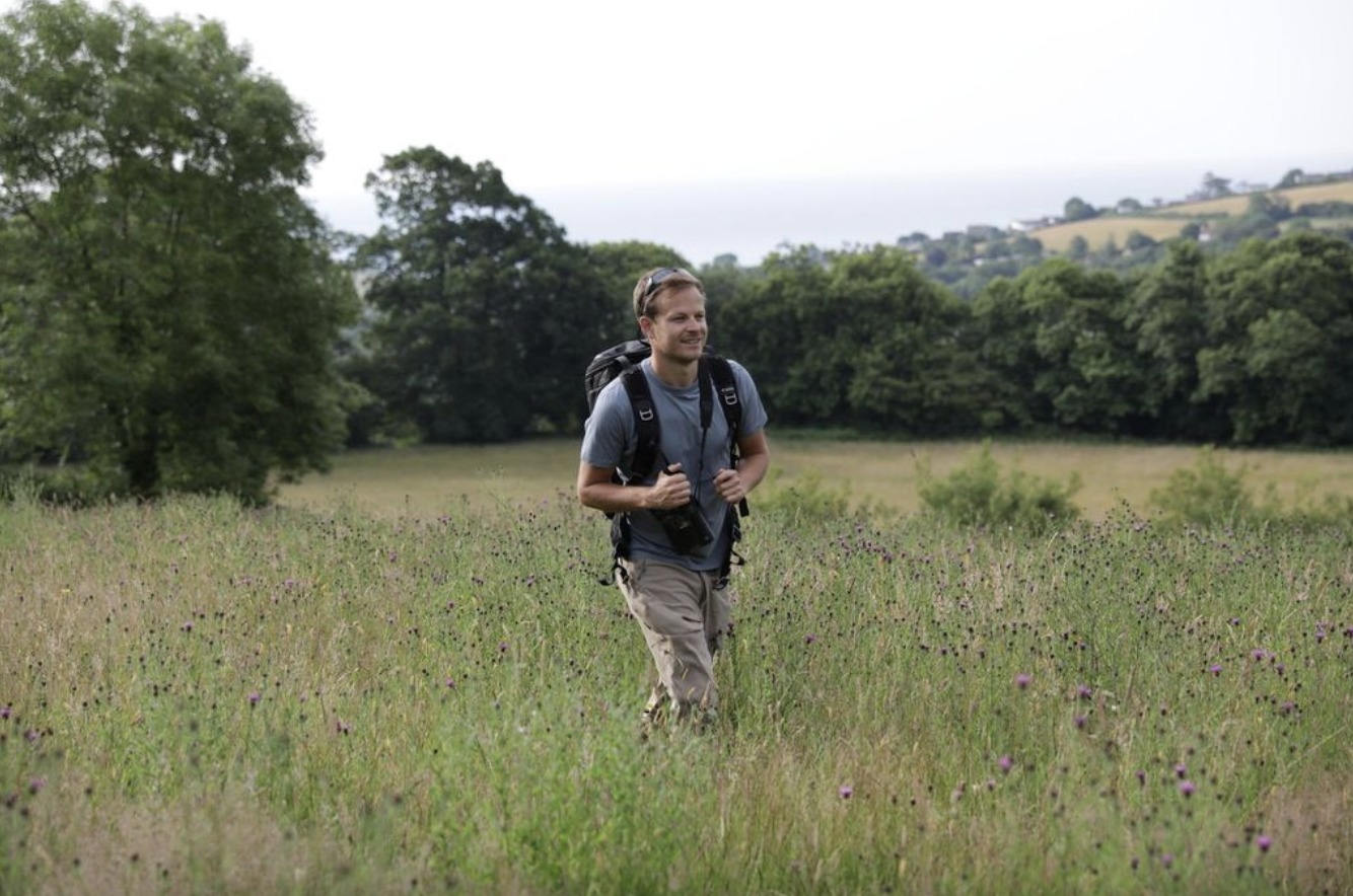 NatGeo’s ‘Secrets of the Bees’ showcases wonder of God’s creation through intimate look at insects
