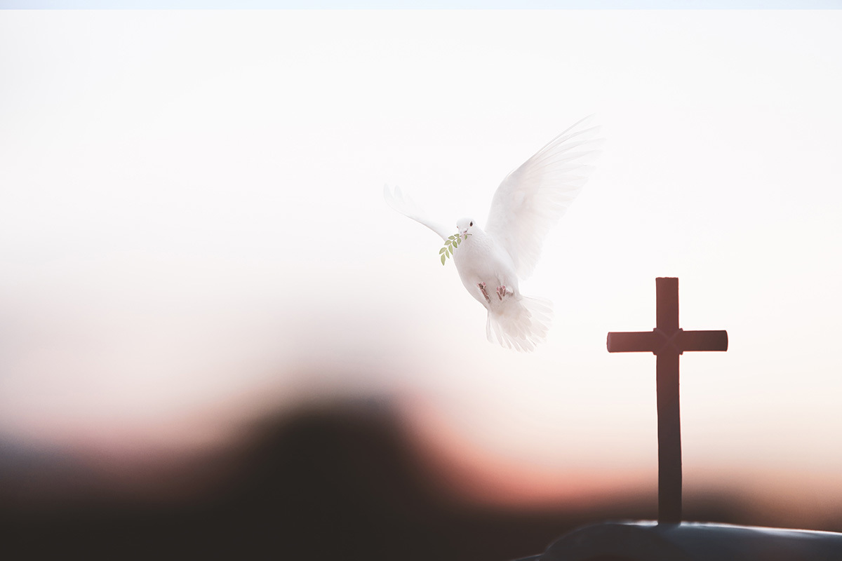 Is there an overcorrection of the Holy Spirit in the charismatic church?