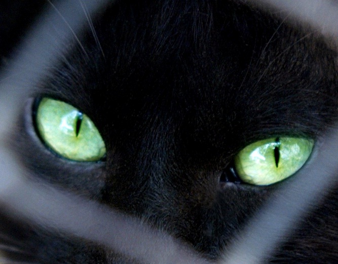 Friday the 13th: Should Christians Be Superstitious? A Look at ...