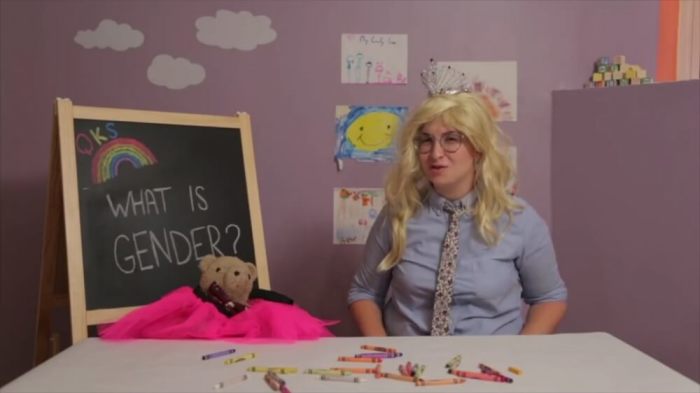 Online transgender ad teaching children there are more than two genders, shared in a video in September 2016.