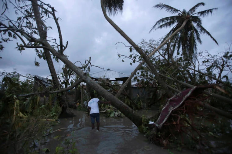 A man walks amongst trees damaged by Hurricane Matthew in Les Cayes, Haiti, October 5, 2016.
