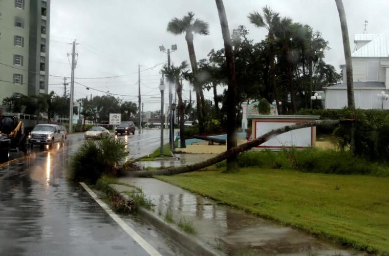 A fallen tree on the street is seen after Hurricane Matthew hits in Melbourne, Florida, October 7, 2016.