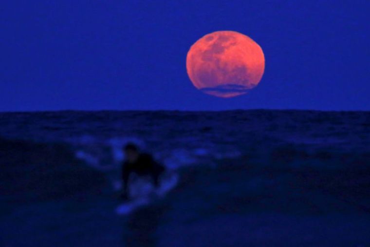 A surfer catches a wave on his board as a super moon rises in the sky off Manly Beach in Sydney, Australia, September 28, 2015. The astronomical event occurs when the moon is closest to the Earth in its orbit, making it appear much larger and brighter than usual.
