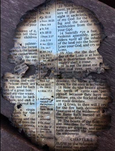 A burned page of the Bible discovered in Dollywood in the wake of historic fires that hit Gatlinburg, Pigeon Forge, and the surrounding area.