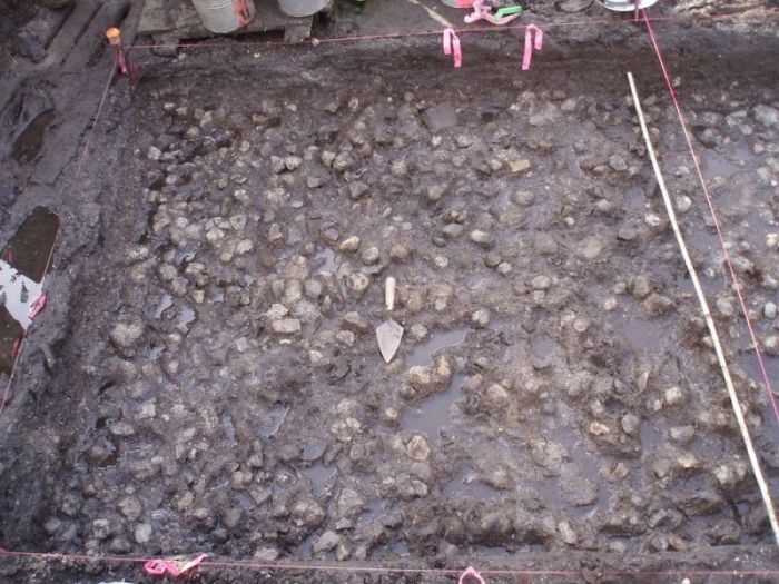 The prehistoric underwater potato garden uncovered by archaeologists at a site in British Columbia, Canada
