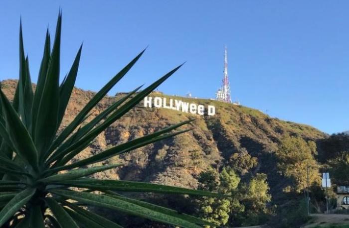 Hollywood's iconic sign is shown in Los Angeles, California, U.S. January 1, 2017 after being defaced overnight in this handout from social media.