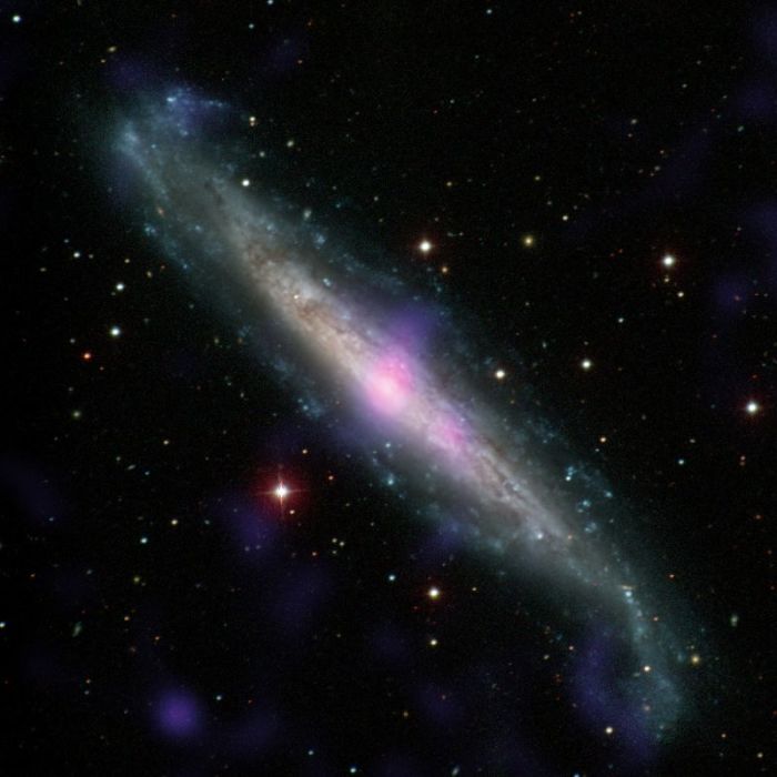 NGC 1448, a galaxy with an active galactic nucleus hidden by gas and dust, is seen in this image.