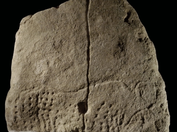Limestone slab engraved with image of an aurochs, or extinct wild cow, discovered at the Abri Blanchard site in southwestern France