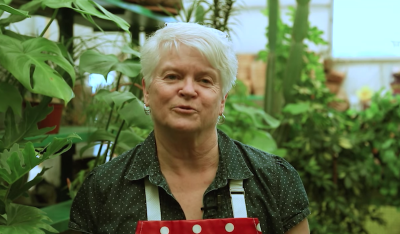 Barronelle Stutzman, owner of Arlene's Flowers in Richland, Washington, is seen here in her shop.